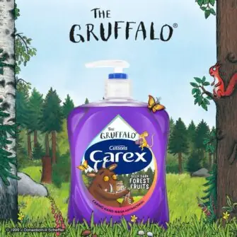 Carex Gruffalo Deep Dark Forest Fruits Antibacterial Hand Wash 250ml and 500ml