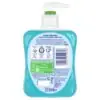 Carex Original Antibacterial Hand Wash 33.33% Extra Free